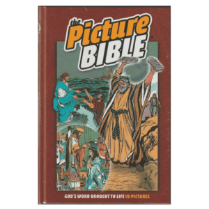 the picture bible hardcover