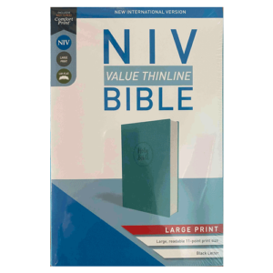 NIV Value Thinline Bible turquoise image