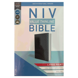 NIV Value Thinline Bible charcoal black image