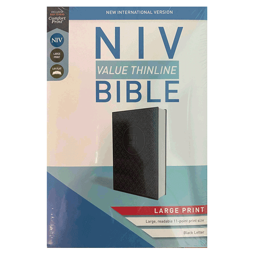 NIV Value Thinline Bible charcoal black image
